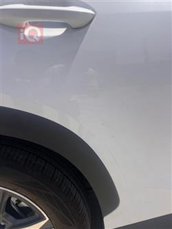 جيتور داشينج